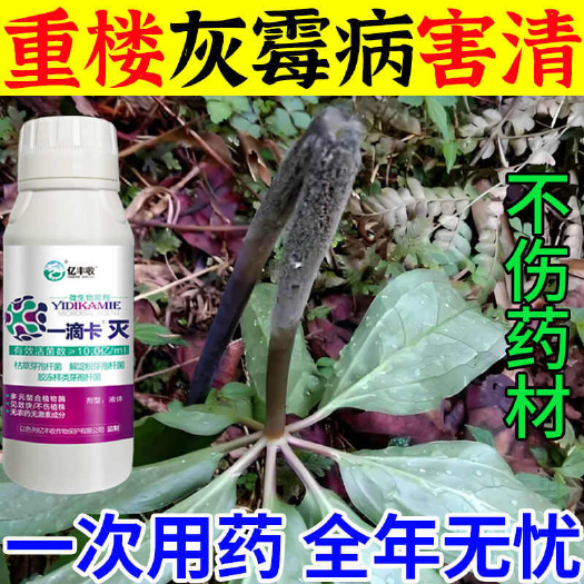 栾川县重楼专用药重楼病全治白霉病枯萎病病毒炭疽病苗期茎腐病杀菌剂