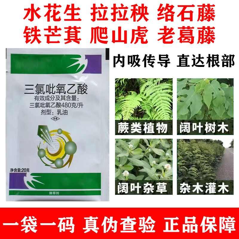 三氯吡氧乙酸恶性阔叶杂草除草剂水花生络石藤铁芒萁正品高效