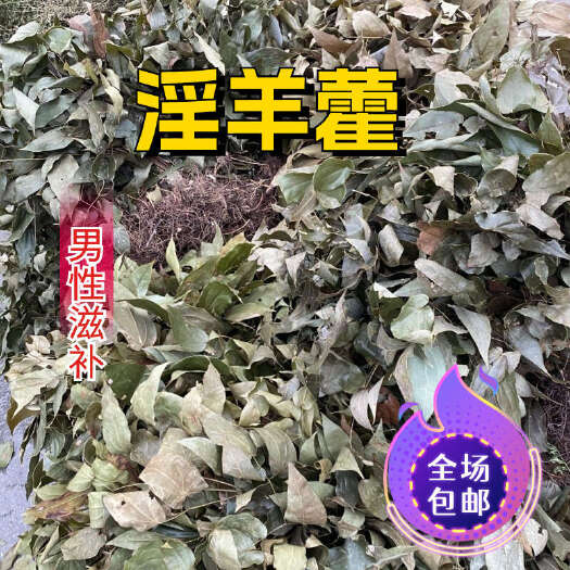 贵州紫云县淫羊藿