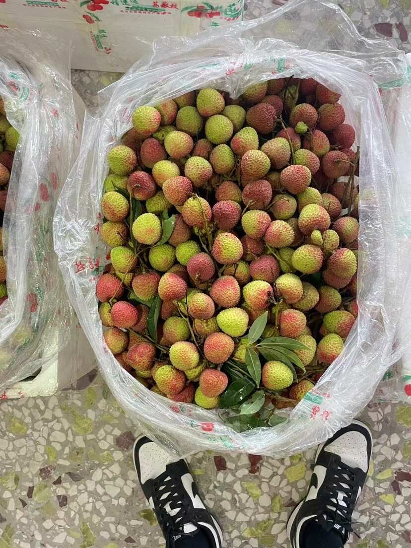 荔枝
