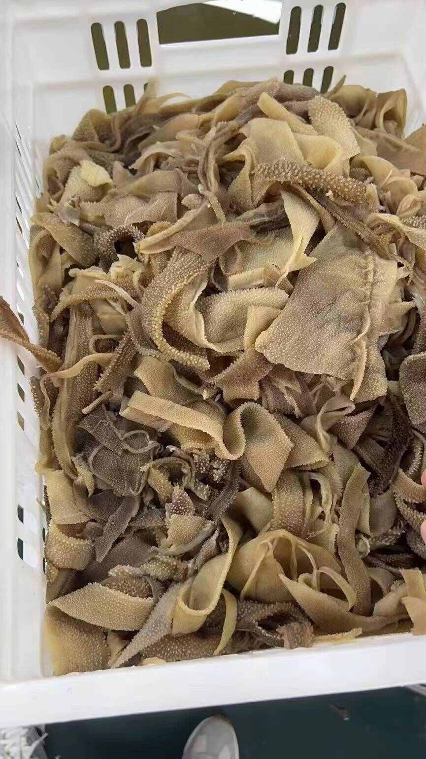 毛肚纯叶片，适合火锅，自助餐，冒菜店，性价比高