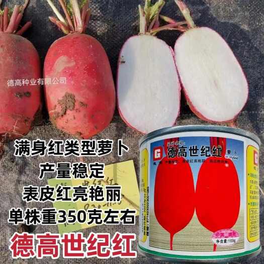 德高世纪红萝卜种子满身红萝卜种籽甜脆多汁耐寒抗病丰产蔬菜瓜果