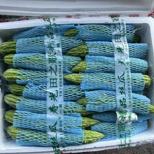 惠州细条米苦瓜