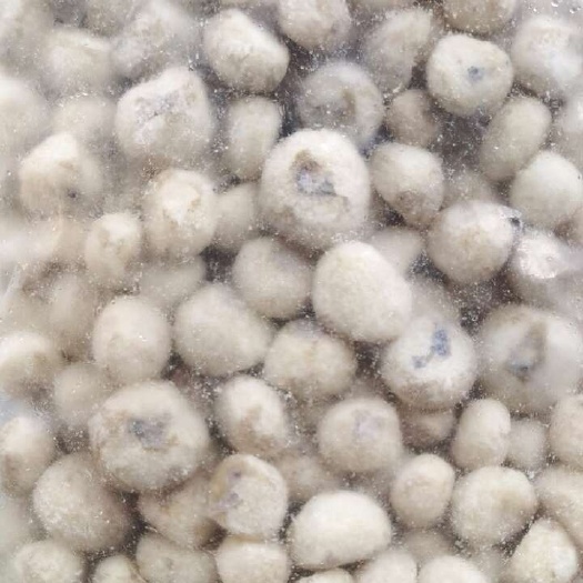广州速冻包邮36斤珍珠马蹄炒菜荸荠小马蹄椰子鸡