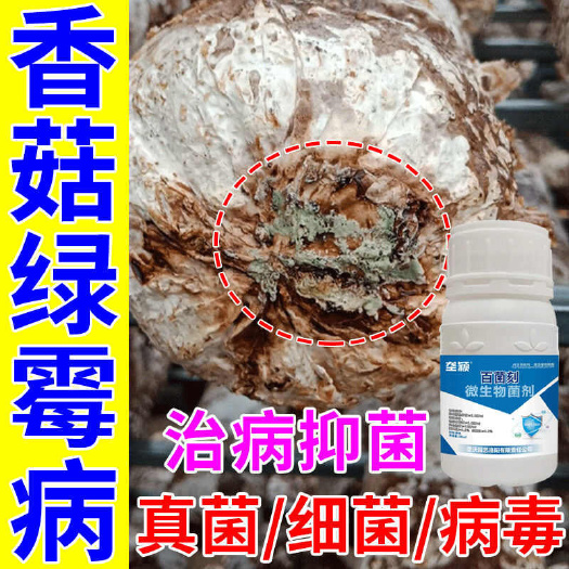 栾川县香菇病专用微生物菌剂香菇菌类细菌性斑点并黑腐曲霉病疫病绿霉菌