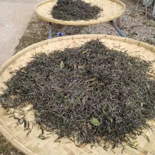  桑叶茶