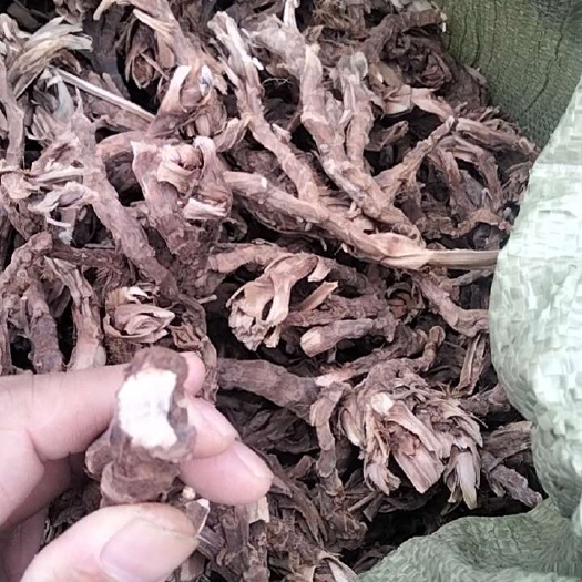 南充石菖蒲干货现货