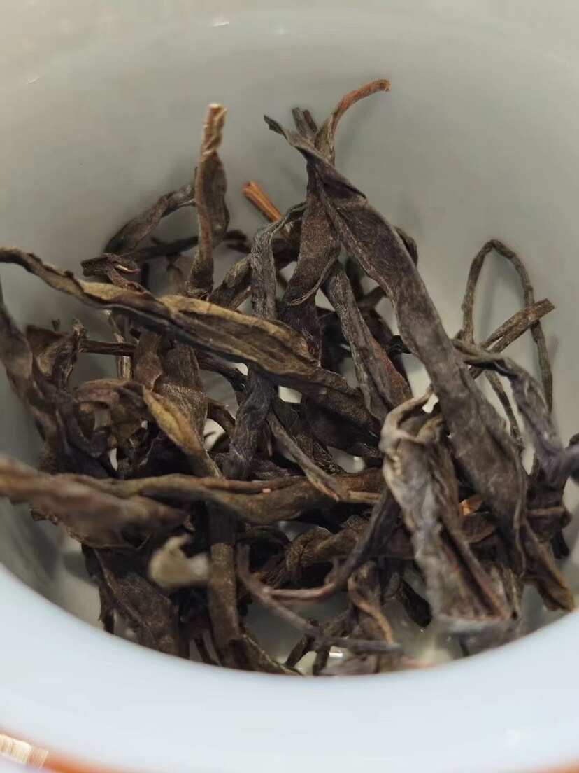 九台坡百年古树茶清甜爽口香甜度高24年春一手茶发全国量大优惠