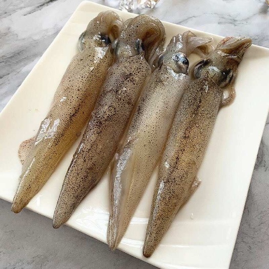 龙港笔管鱼