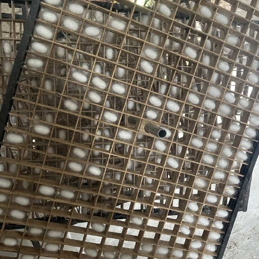 安龙县优质蚕丝，农家自养，量大