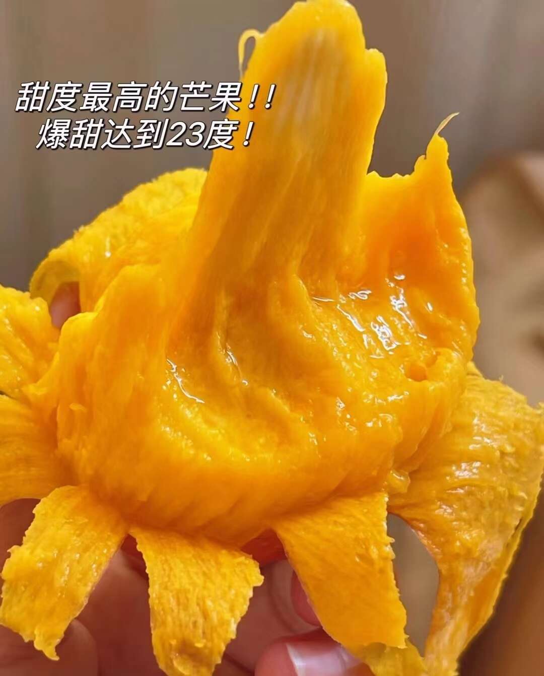 大貴妃芒