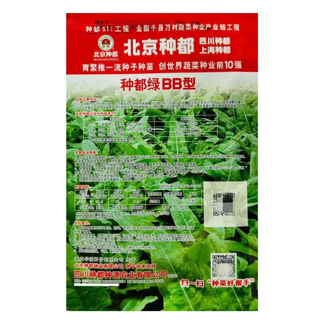 种都耐热莴笋种子 尖叶先锋BB型莴笋种子抗热耐高温香莴笋种子