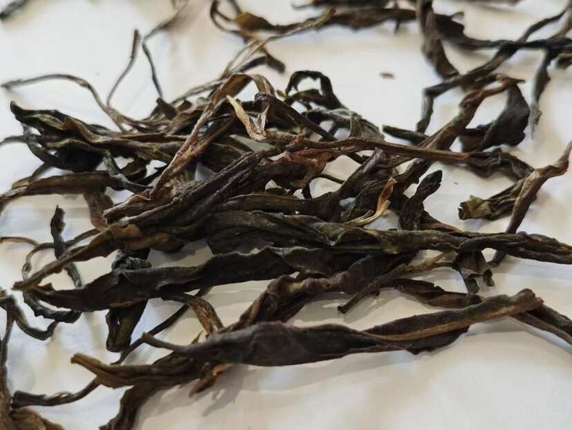 九台坡百年古树茶清甜爽口香甜度高24年春一手茶发全国量大优惠