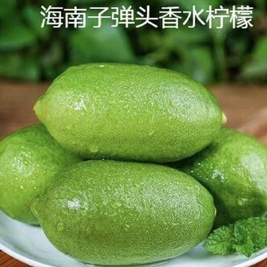 深圳无籽香水柠檬