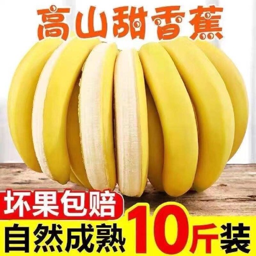 昆明云南高山香蕉现摘当季甜香蕉新鲜水果批发包邮