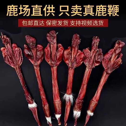 长春【纯鹿鞭】东北真鹿鞭，整根鹿鞭，新鲜鹿鞭干鹿鞭滋补品