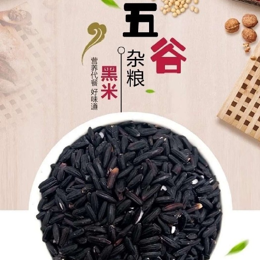 洋县陕西汉中秦岭农家自产自种黑大米新米 黑糙米黑香米 黑米杂