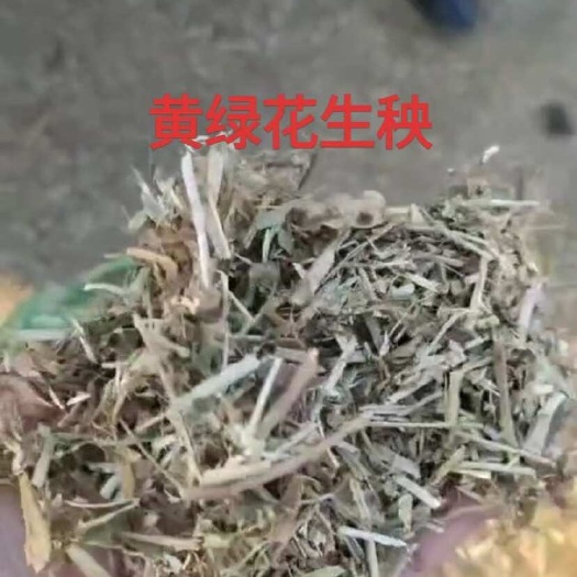 邹城市花生秧