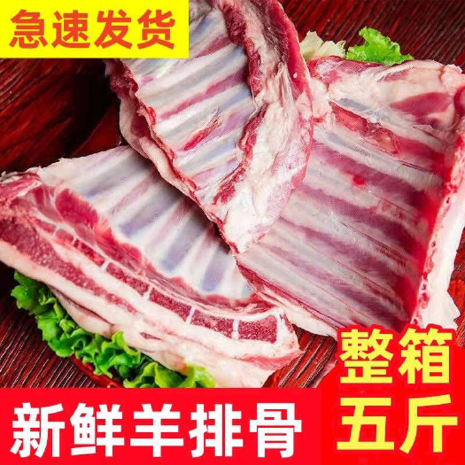 连云港新鲜羊排尖羊排切块羊排骨批发冷冻羊排尖新鲜羊肉羊排整箱肋排