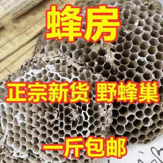 云南中药材蜂房胡蜂巢露蜂房硬蜂房块状药用马蜂窝纯