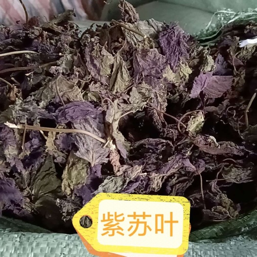 干紫苏