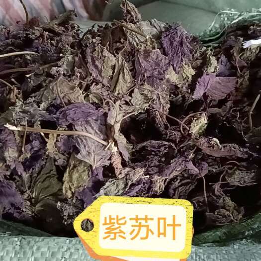 清远干紫苏