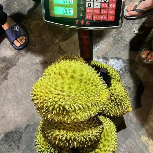 南宁明天的货