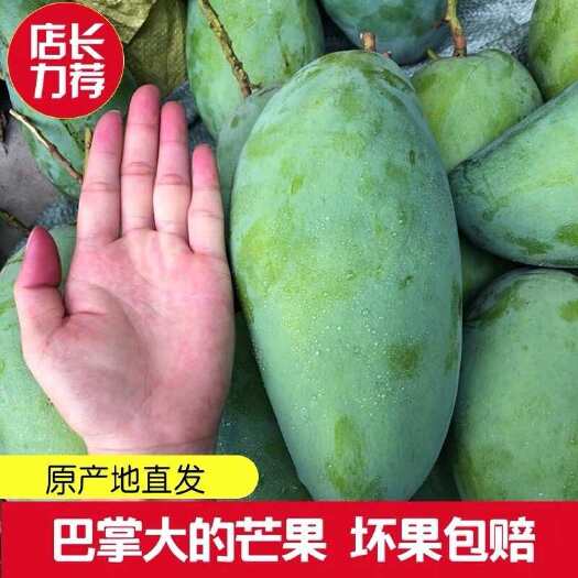 南宁广西大金煌芒大青芒特大芒果新鲜当季水果芒果