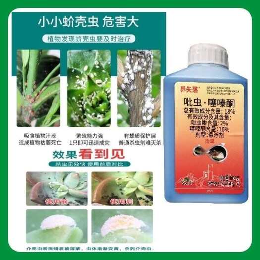 泽丰界失落18%吡虫噻嗪酮柑橘树、介壳虫正品农药强效杀虫剂