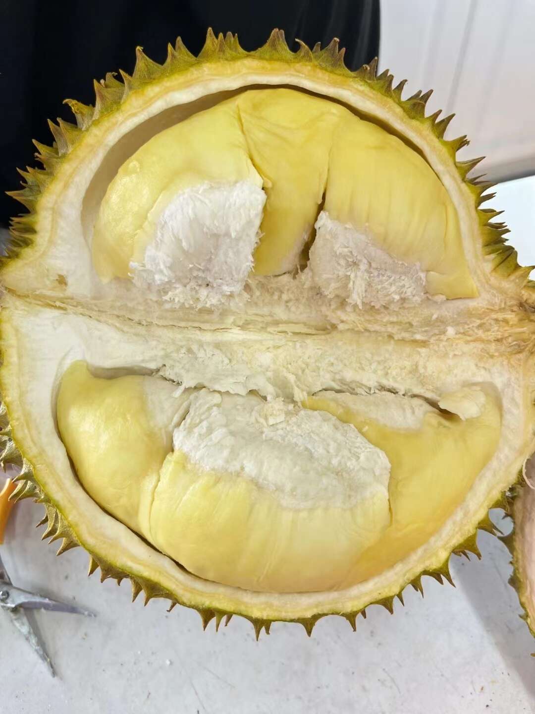 泰国金枕榴莲正常发货当天下单当天发平台对接