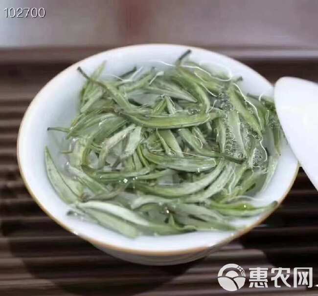 云南大白毫普洱绿茶白毫银针大芽头单芽耐泡茶汤清澈甘甜现货批发