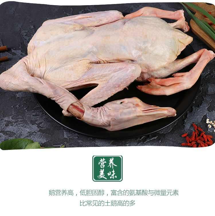 農(nóng)家散養(yǎng)現(xiàn)殺大白鵝土鵝老鵝嫩鵝肉鵝青年鵝草鵝雁鵝白鵝