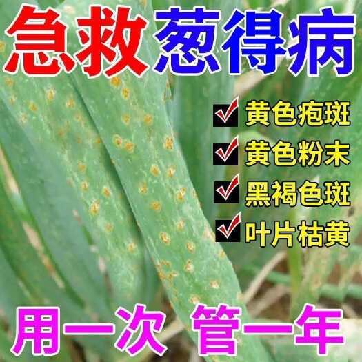 栾川县葱姜蒜专用肥料大葱干尖黄叶病专用药白点锈病增产抗病大葱猛长肥