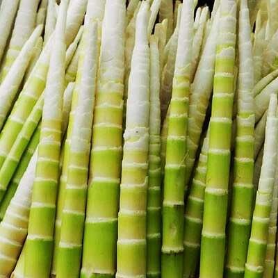 荥经县8月鲜竹笋预售