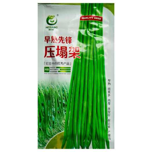 淮安早熟先锋压塌架豆角种子无鼠尾不早衰耐寒耐热抗病长豆角种籽