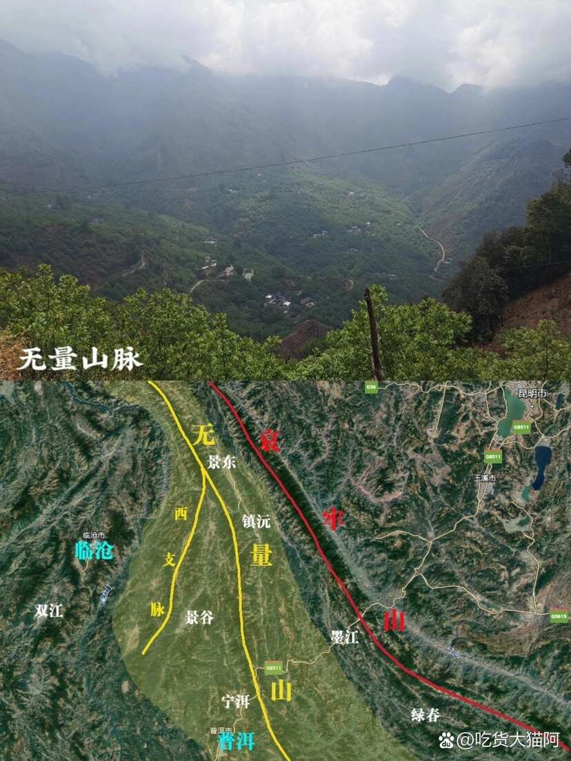 九台坡百年古树茶清甜爽口香甜度高24年春一手茶发全国量大优惠