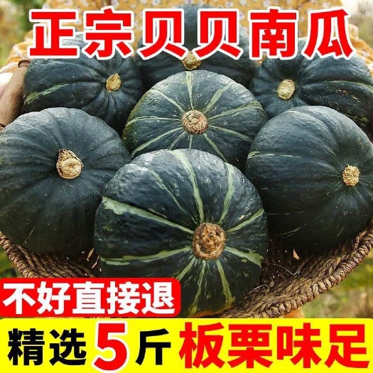 长沙陕西贝贝南瓜惠和一号板栗南瓜软糯香甜批发电商一件代发量大优先