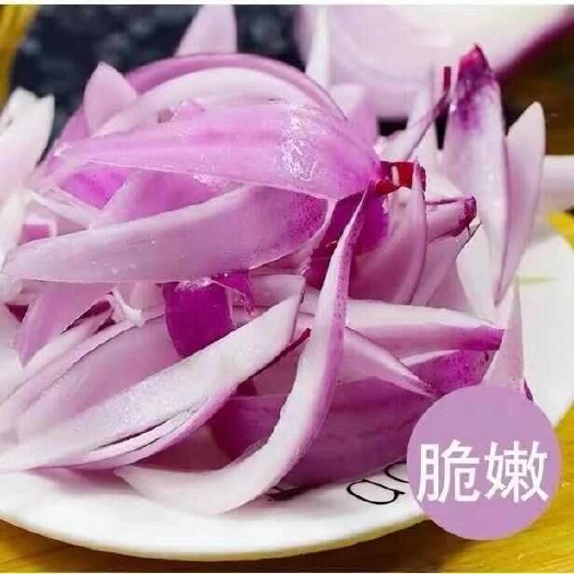 睢县红皮洋葱