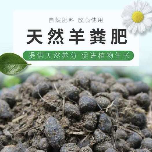 宁化县福建羊场出售羊粪颗粒