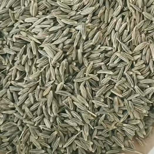  孜然