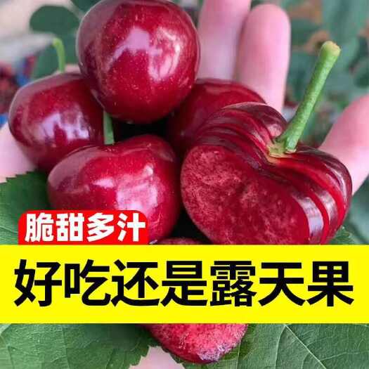 汶川县裸果一箱三斤， 75顺丰包邮，全国可发。