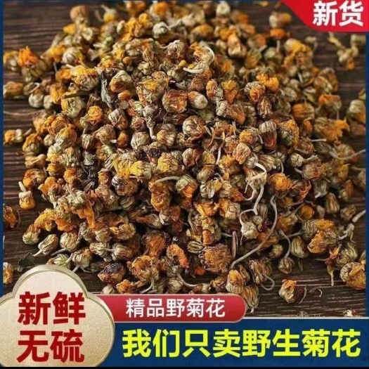 【田间地头纯野生】高品质野菊花，颗颗甄选，粒粒饱满，颗粒状