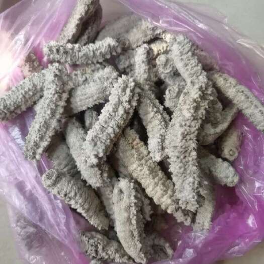 东兴市黄玉参