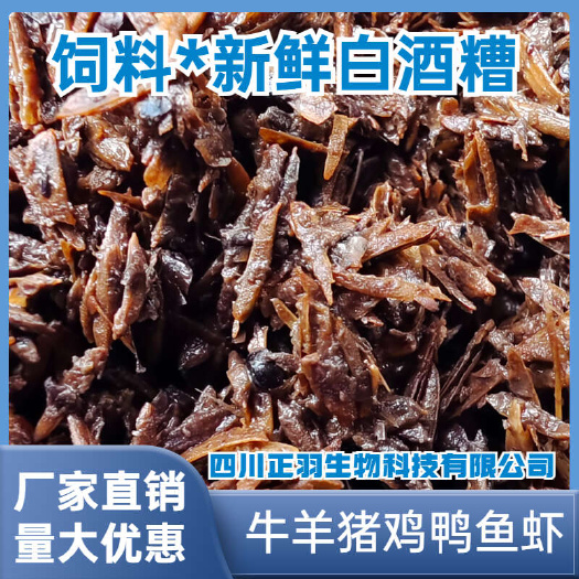 鲜酒糟 浓香型 蛋白14% 粘性好 牛羊水产爱长肉 厂家直销