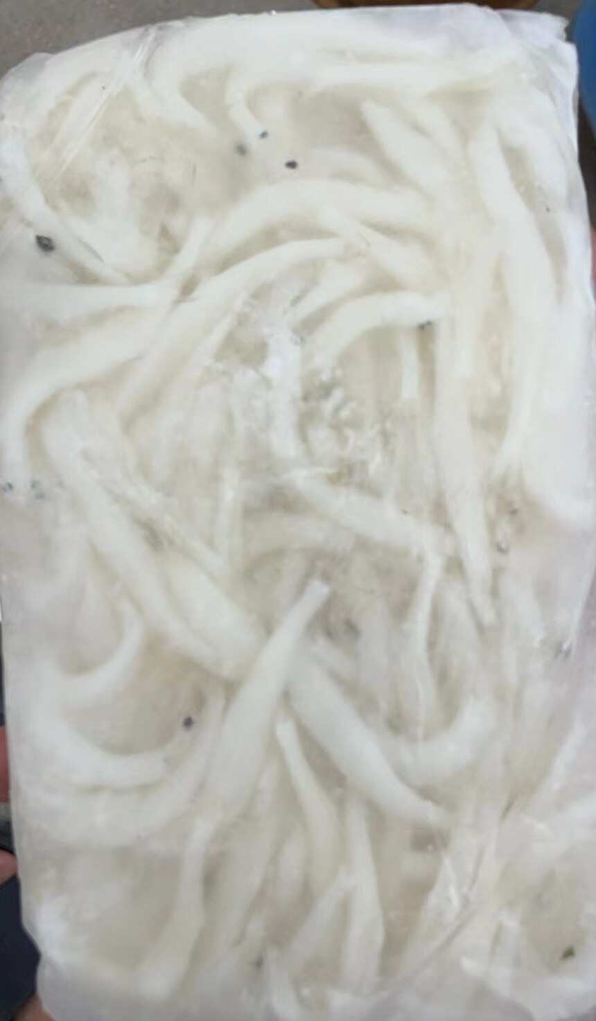 鲜活冷冻鲜银鱼银鱼新鲜水产冷冻面白饭鱼宝宝辅食面条鱼无骨鱼