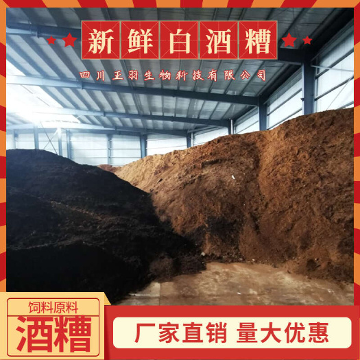 泸县酒糟  鲜白酒糟 牛羊水产饲料原料 蛋白14%