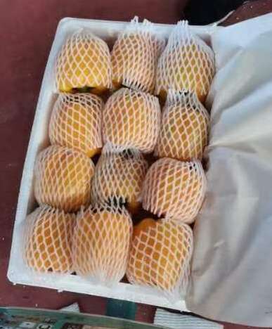 寿光市彩椒