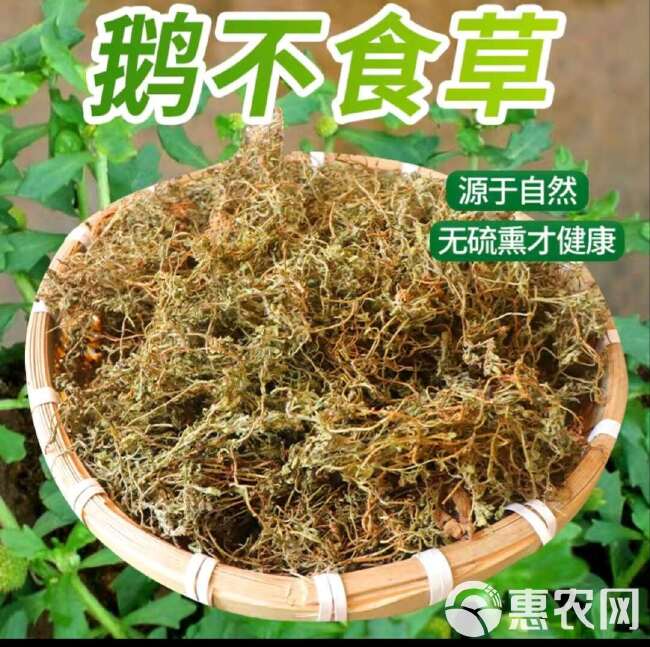 【原生原色】鹅不食胡荽鹅，新鲜采摘，自然晾晒，精选品质