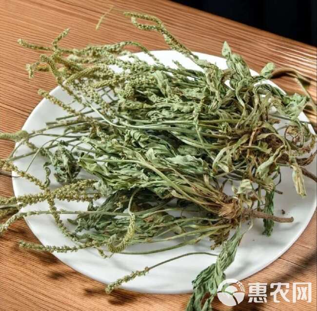 【真材实料】整株车前草，自然晾晒，无硫无农残，品质追求！