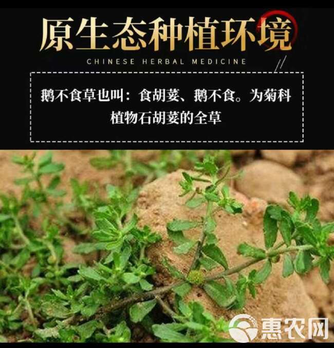 【原生原色】鹅不食胡荽鹅，新鲜采摘，自然晾晒，精选品质